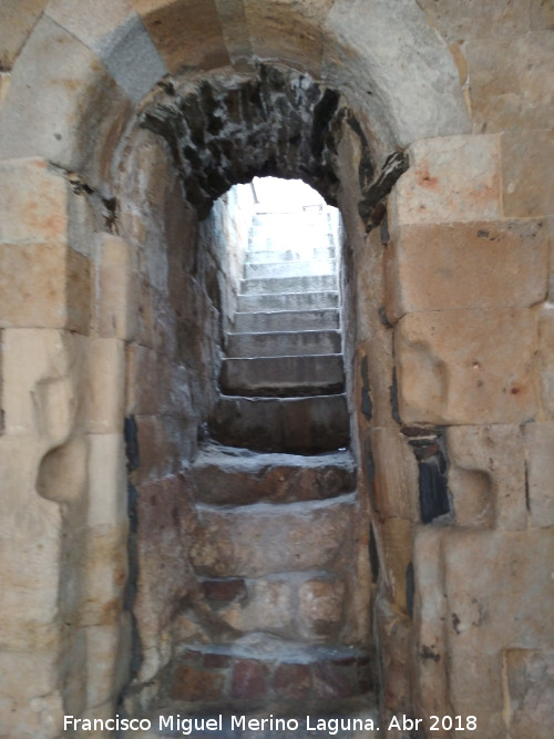 Iglesia de San Cebrin - Iglesia de San Cebrin. Escaleras de acceso a la cripta