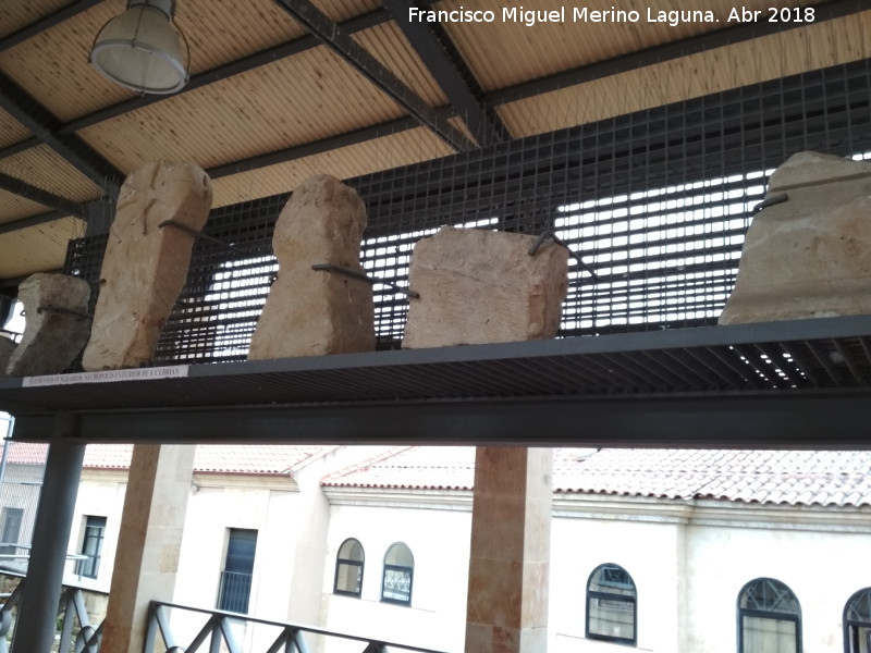 Iglesia de San Cebrin - Iglesia de San Cebrin. Elementos funerarios de la necrpolis exterior