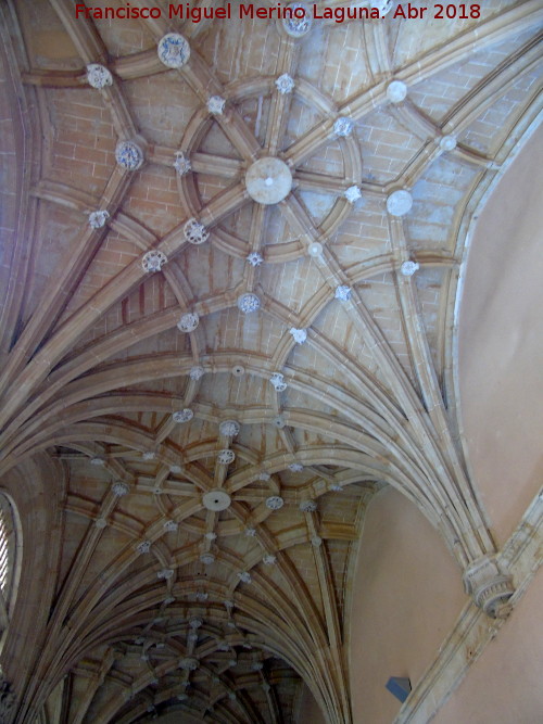 Convento de San Esteban. Claustro - Convento de San Esteban. Claustro. Bvedas de crucera