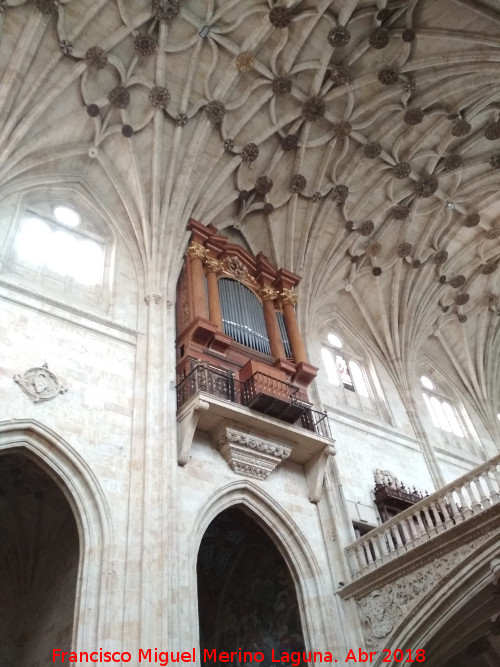 Convento de San Esteban. rgano - Convento de San Esteban. rgano. 