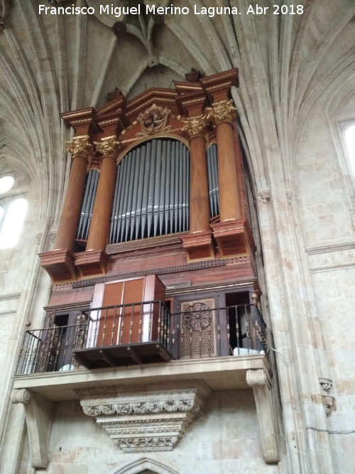 Convento de San Esteban. rgano - Convento de San Esteban. rgano. 