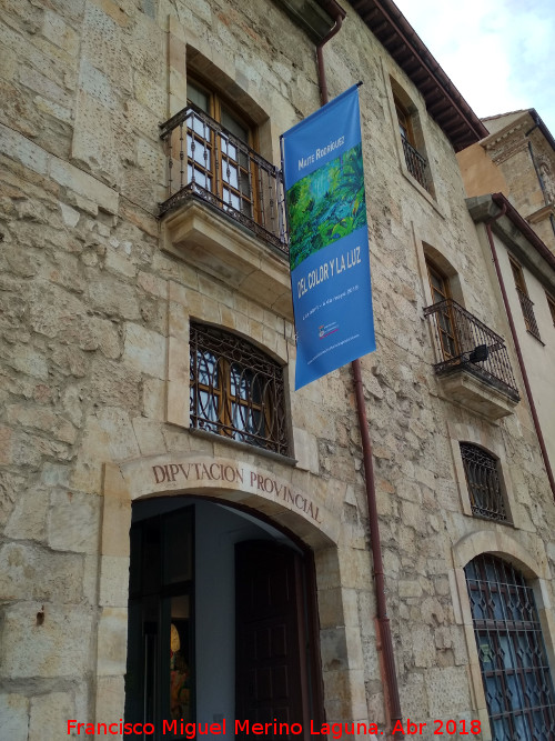 Palacio de la Salina o Fonseca - Palacio de la Salina o Fonseca. Casas aledaas absorbidas por el palacio