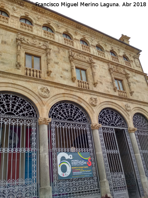 Palacio de la Salina o Fonseca - Palacio de la Salina o Fonseca. Fachada