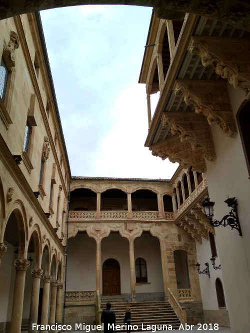 Palacio de la Salina o Fonseca - Palacio de la Salina o Fonseca. Patio