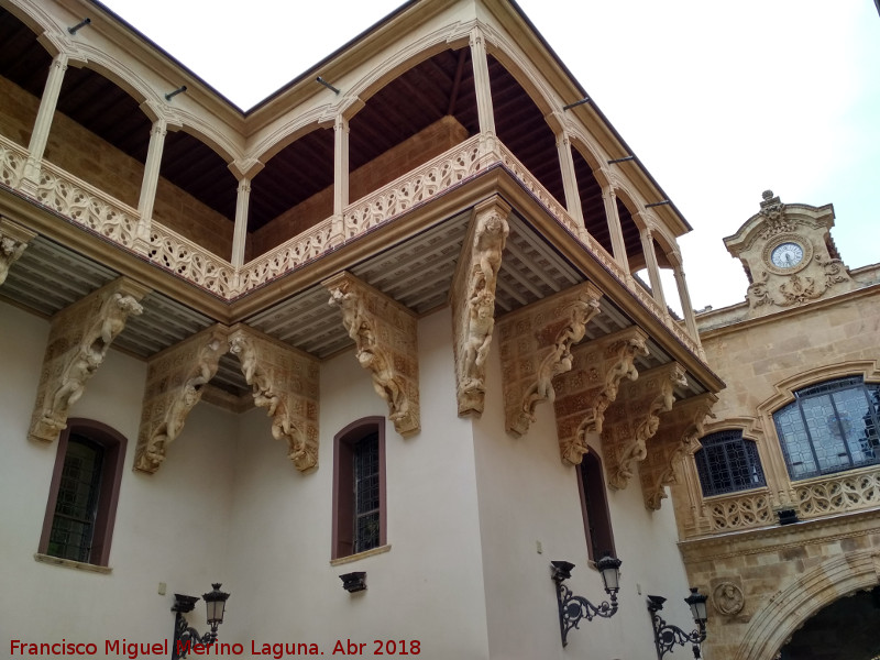 Palacio de la Salina o Fonseca - Palacio de la Salina o Fonseca. Galera alta