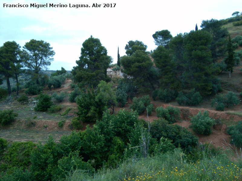 Cortijo de Martn Lechuga - Cortijo de Martn Lechuga. 