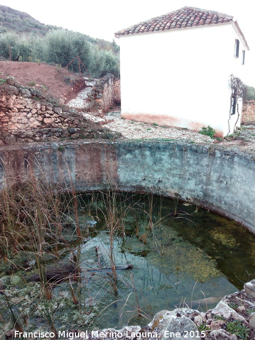 Estanque de Azproz - Estanque de Azproz. Estanque y cortijo