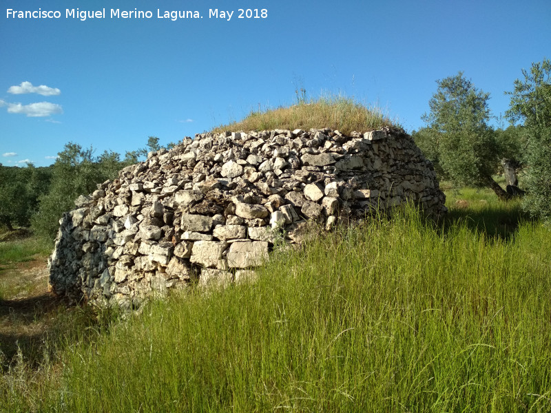 Caracol de Los Membrillos - Caracol de Los Membrillos. 