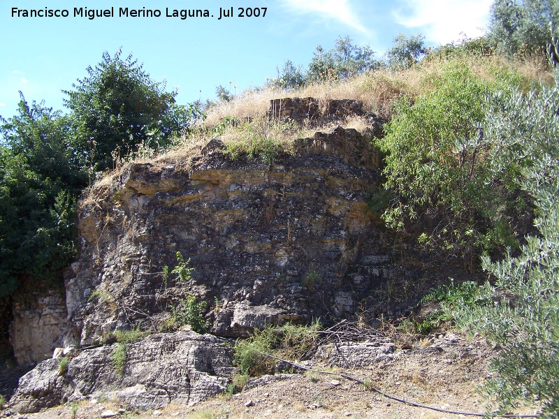 Ruinas en el Cortijo de las Emilias - Ruinas en el Cortijo de las Emilias. 