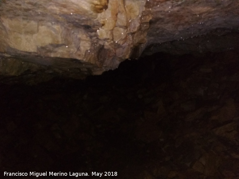 Cueva de El Mansegoso - Cueva de El Mansegoso. 