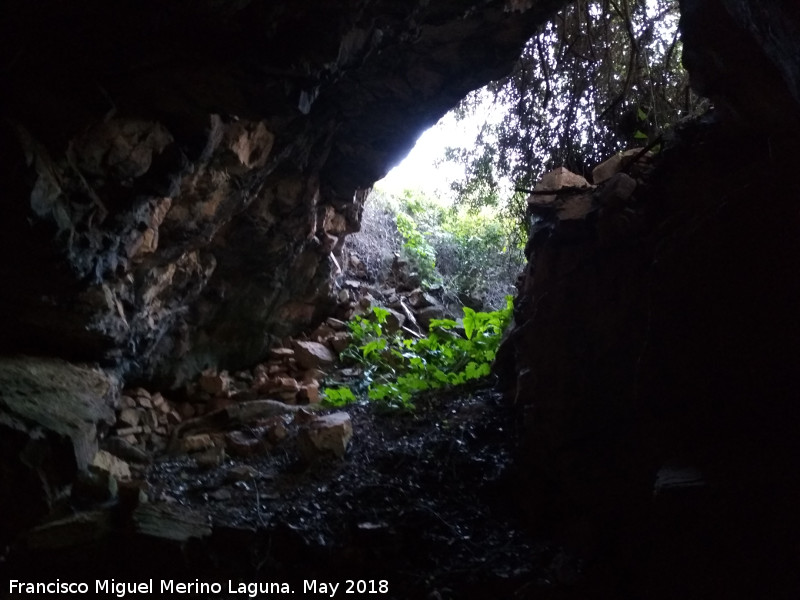 Cueva de El Mansegoso - Cueva de El Mansegoso. 