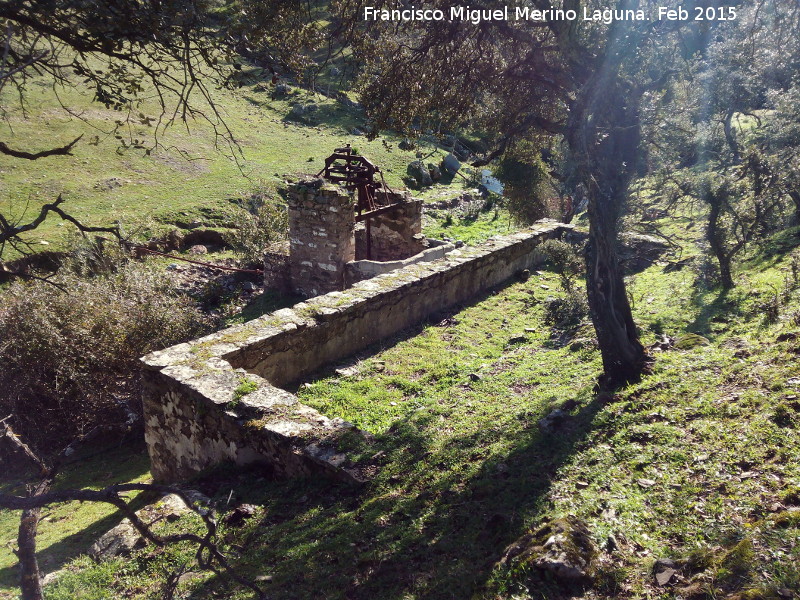 Noria de Pedro Fate - Noria de Pedro Fate. Alberca y noria