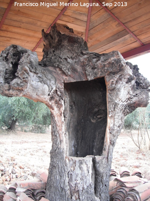 La Milagrosa - La Milagrosa. Hueco de la Virgen