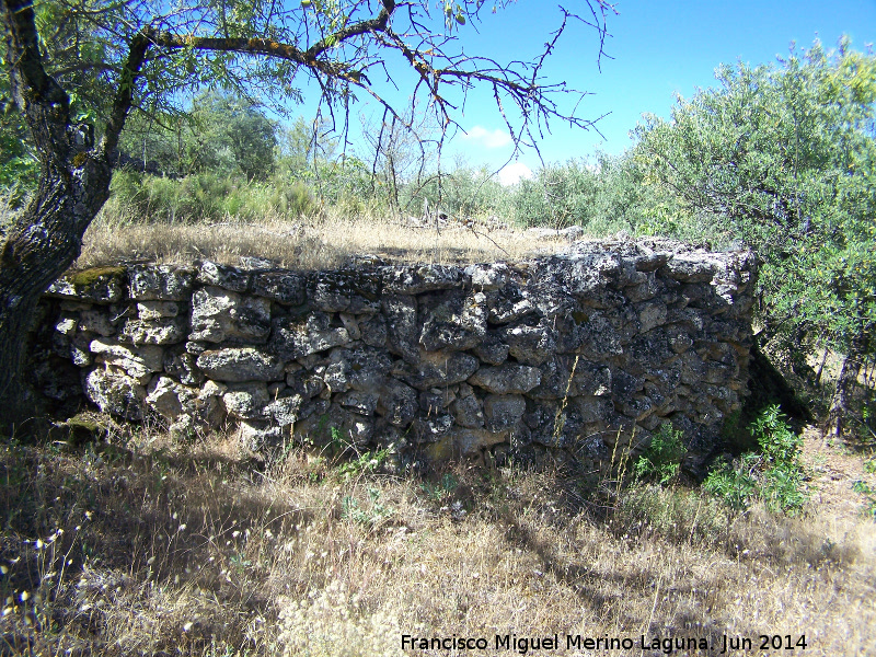 Era de la Colonia - Era de la Colonia. 