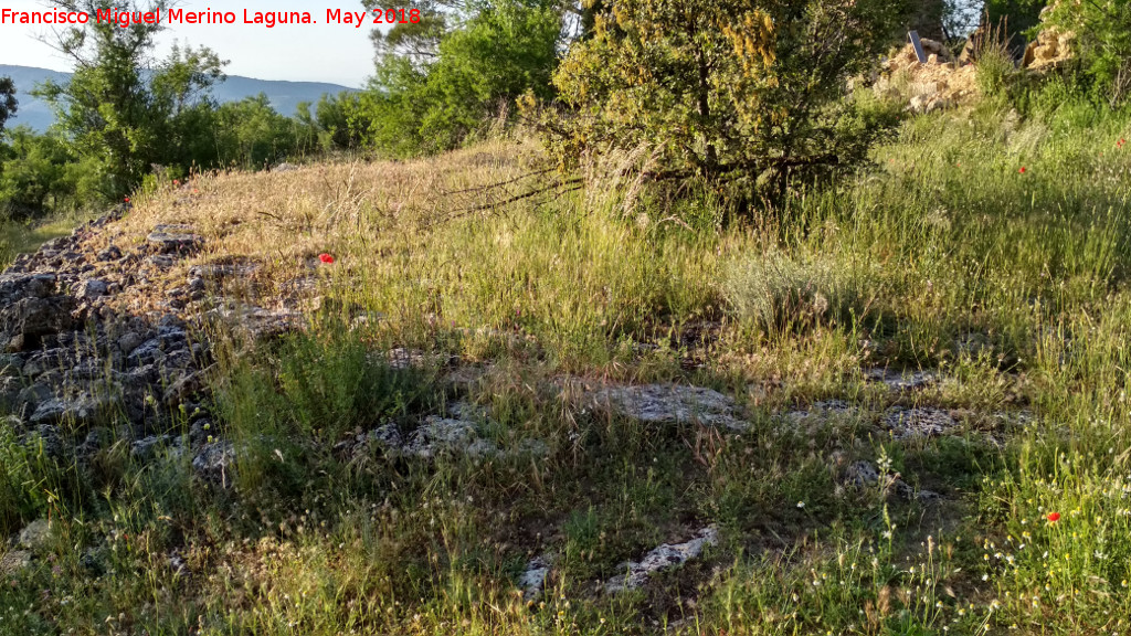 Era de la Colonia - Era de la Colonia. 