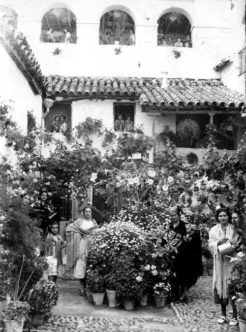 Patios de Crdoba - Patios de Crdoba. Patio de Vecinos en la Calle Badanas