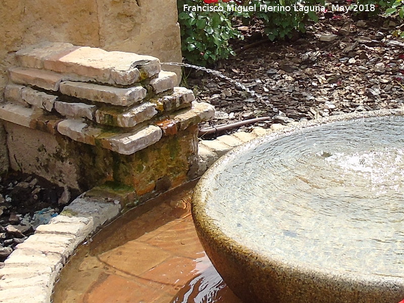 Fuente de San Lorenzo - Fuente de San Lorenzo. Cao