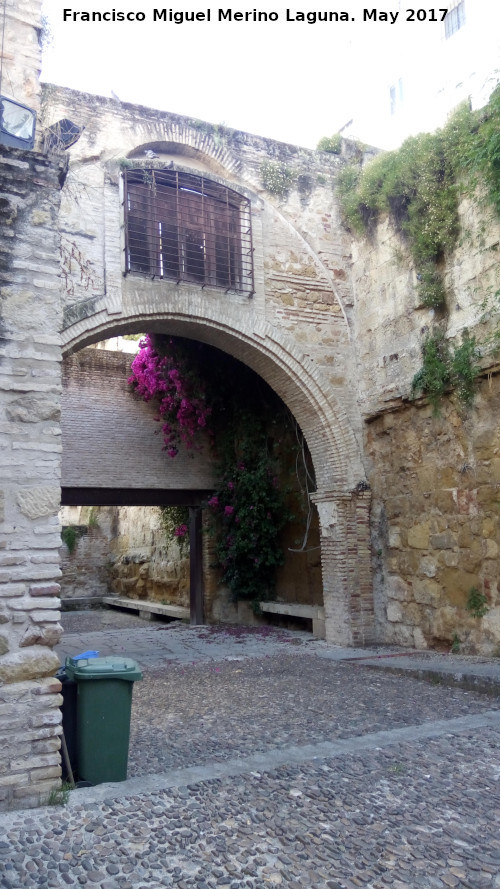 Muralla de la Calle San Fernando - Muralla de la Calle San Fernando. 