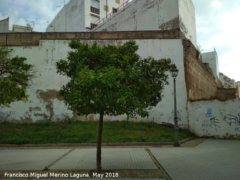 Muralla de la Calle Vicente Blasco Ibez - Muralla de la Calle Vicente Blasco Ibez. 