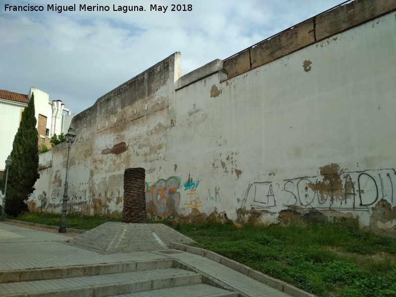 Muralla de la Calle Vicente Blasco Ibez - Muralla de la Calle Vicente Blasco Ibez. Muralla blanqueada
