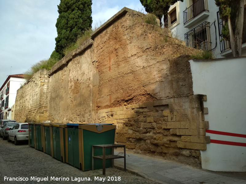 Muralla de la Calle Muro de la Misericordia - Muralla de la Calle Muro de la Misericordia. Parte de tapial