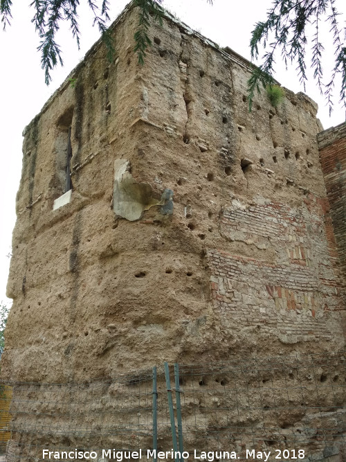 Torren de San Antonio de Padua - Torren de San Antonio de Padua. 