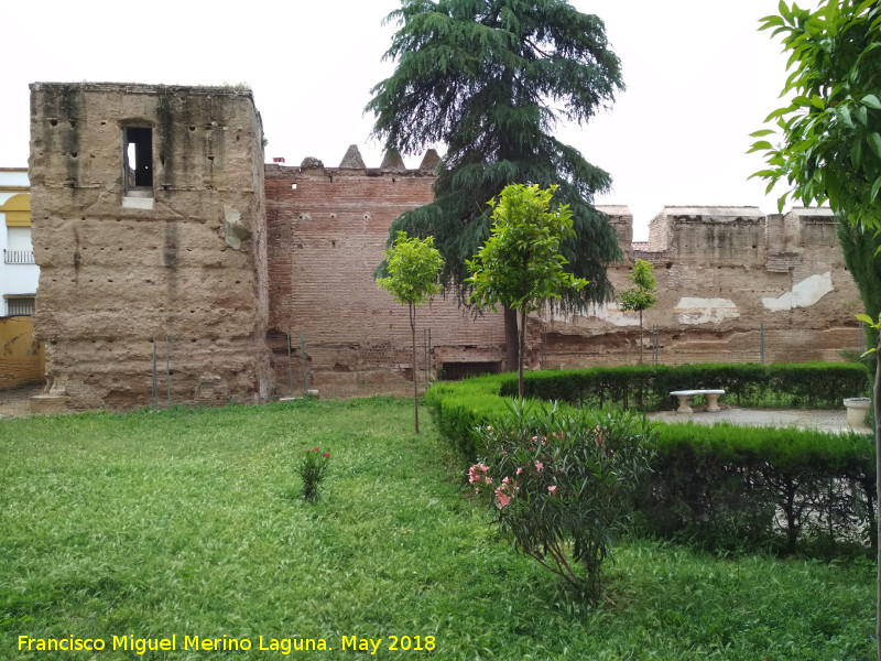 Torren de San Antonio de Padua - Torren de San Antonio de Padua. Torren y muralla