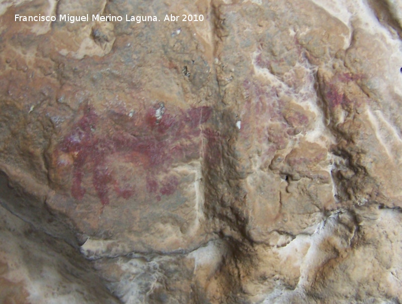 Pinturas rupestres de la Cueva de los Herreros Grupo XI - Pinturas rupestres de la Cueva de los Herreros Grupo XI. Cnidos derechos del subrupo inferior