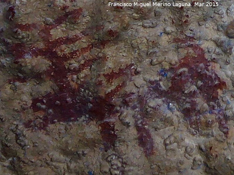 Pinturas rupestres de la Cueva de los Herreros Grupo XI - Pinturas rupestres de la Cueva de los Herreros Grupo XI. Ciervo