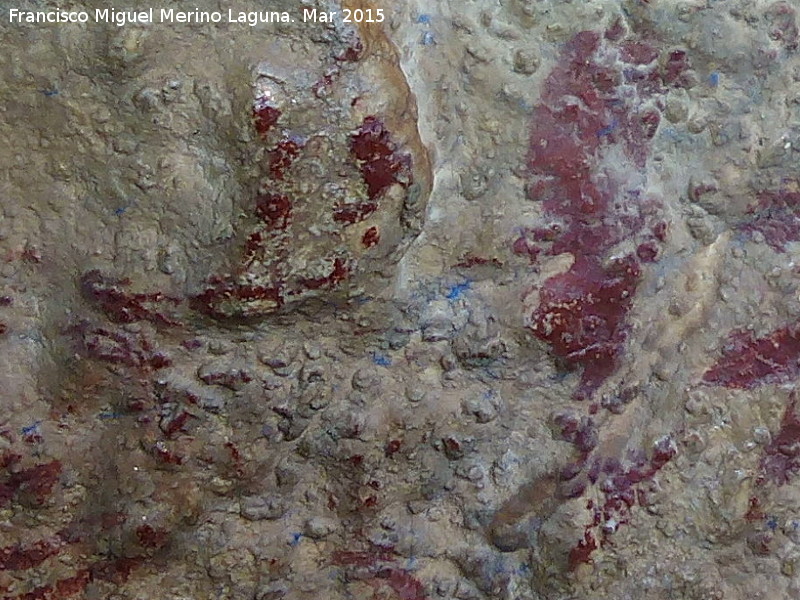 Pinturas rupestres de la Cueva de los Herreros Grupo XI - Pinturas rupestres de la Cueva de los Herreros Grupo XI. Posible cnido