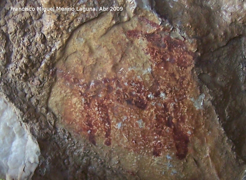 Pinturas rupestres de la Cueva de los Herreros Grupo IX - Pinturas rupestres de la Cueva de los Herreros Grupo IX. Cabra