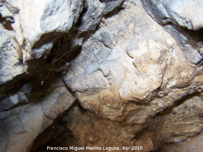 Pinturas rupestres de la Cueva de los Herreros Grupo VIII - Pinturas rupestres de la Cueva de los Herreros Grupo VIII. Arco con doble flecha y alineaciones de puntos negros