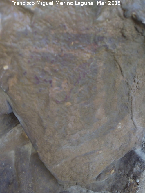 Pinturas rupestres de la Cueva de los Herreros Grupo VIII - Pinturas rupestres de la Cueva de los Herreros Grupo VIII. Figura reticulada