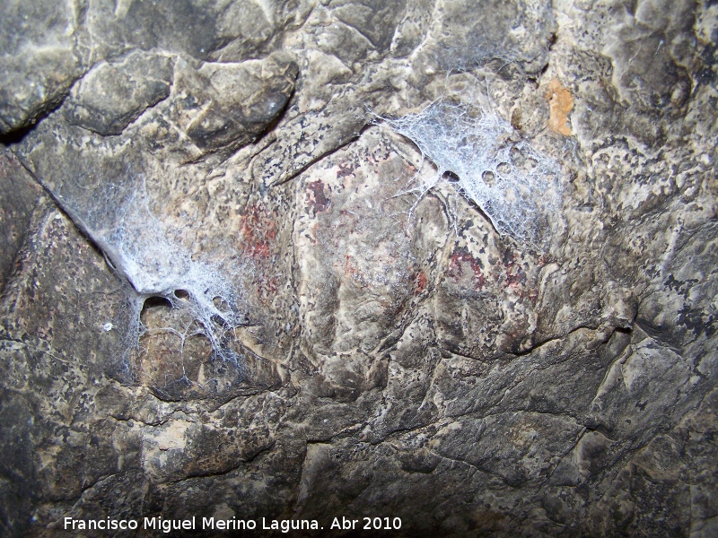 Pinturas rupestres de la Cueva de los Herreros Grupo IV - Pinturas rupestres de la Cueva de los Herreros Grupo IV. Restos de pintura