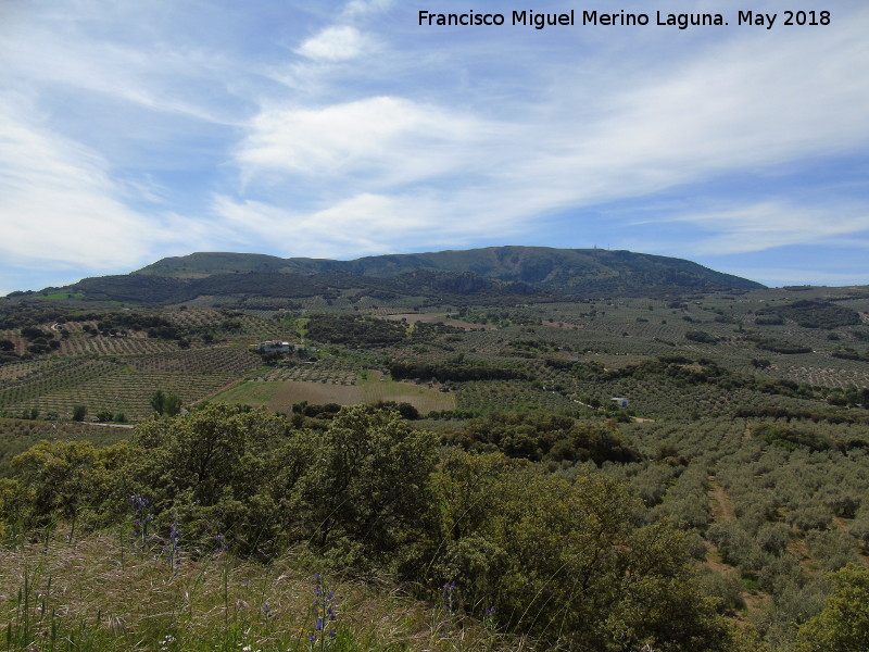 Sierra de Parapanda - Sierra de Parapanda. Desde la Pea de los Gitanos