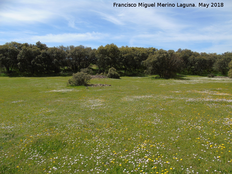 Pea de los Gitanos - Pea de los Gitanos. Primera pradera