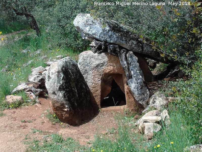 Dolmen de las Protuberancias - Dolmen de las Protuberancias. 