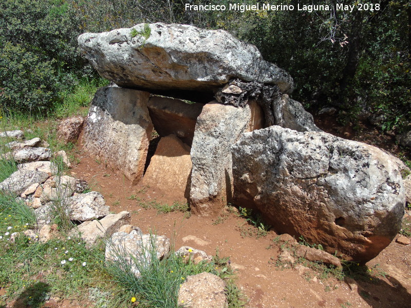 Dolmen de las Protuberancias - Dolmen de las Protuberancias. Lateral