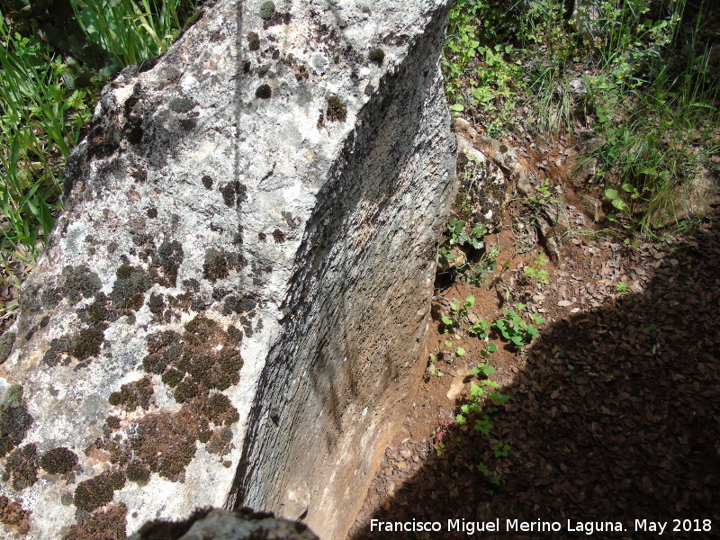 Dolmen de las Protuberancias - Dolmen de las Protuberancias. Ortostato derecho del corredor