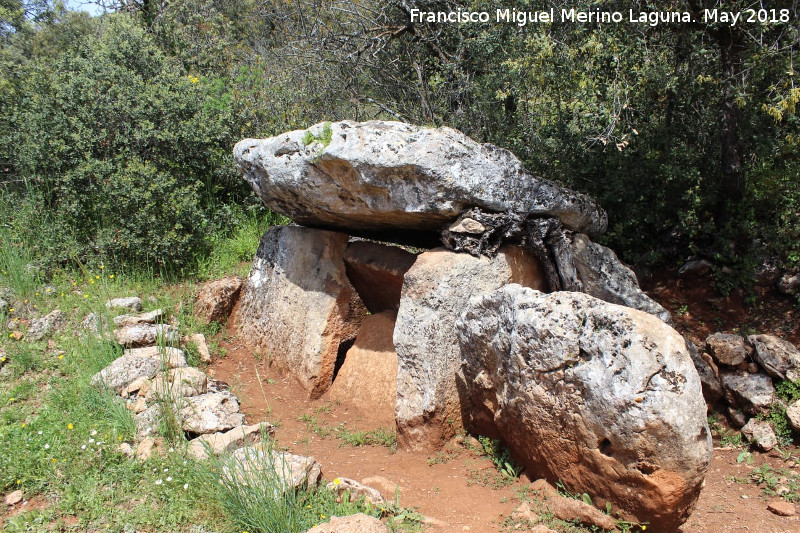 Dolmen de las Protuberancias - Dolmen de las Protuberancias. 