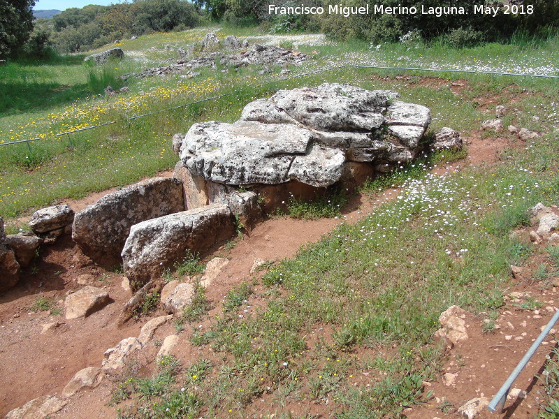 Dolmen de los Arcos - Dolmen de los Arcos. 