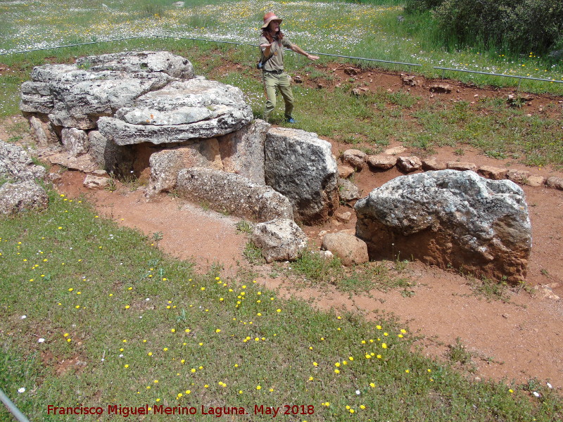 Dolmen de los Arcos - Dolmen de los Arcos. 