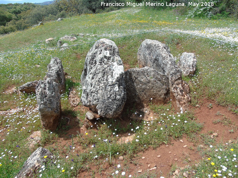 Dolmen del Zoomorfo - Dolmen del Zoomorfo. 