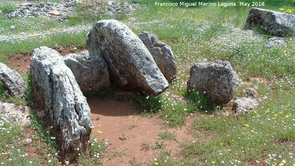 Dolmen del Zoomorfo - Dolmen del Zoomorfo. 