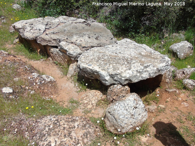 Dolmen de la Fosa - Dolmen de la Fosa. 