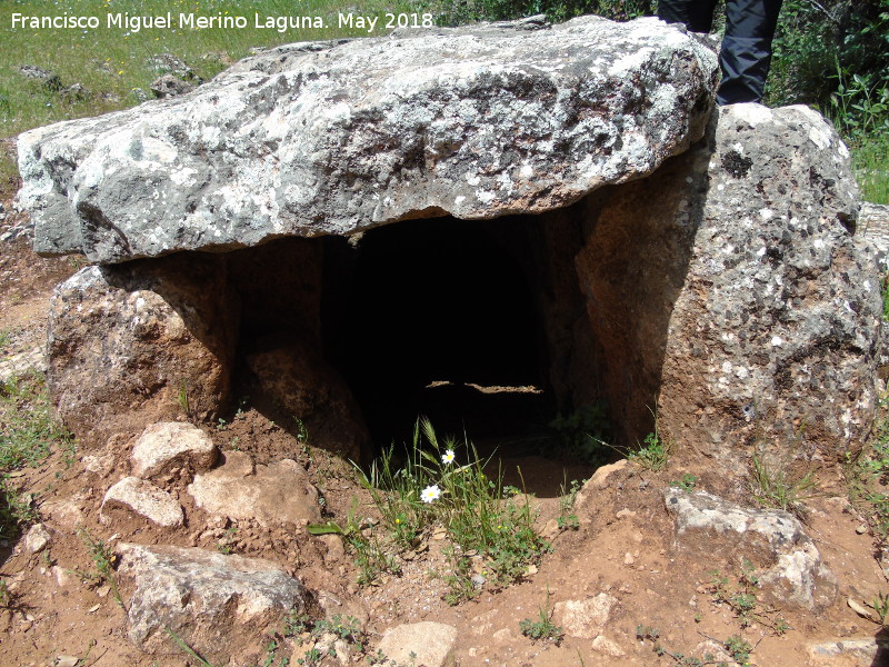 Dolmen de la Fosa - Dolmen de la Fosa. Entrada