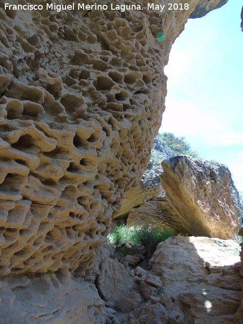 Abrigo de la Colmena - Abrigo de la Colmena. Erosin alveolar