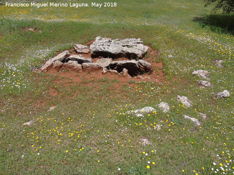 Dolmen Destapado - Dolmen Destapado. Anillo