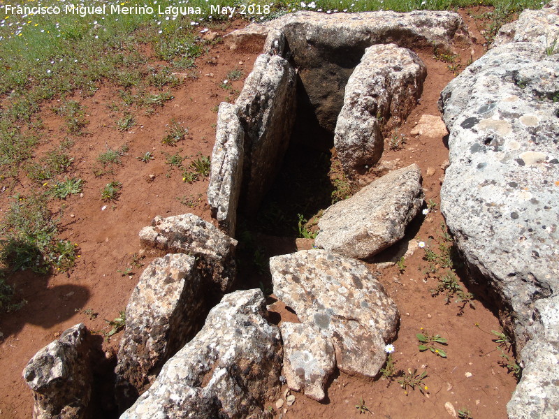 Dolmen Destapado - Dolmen Destapado. 