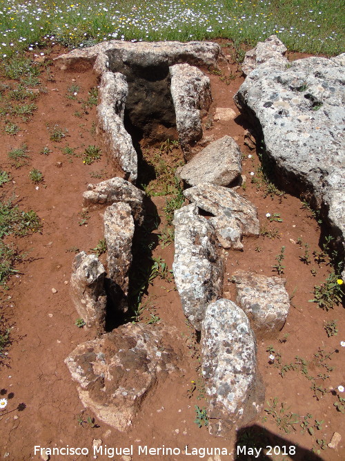 Dolmen Destapado - Dolmen Destapado. 